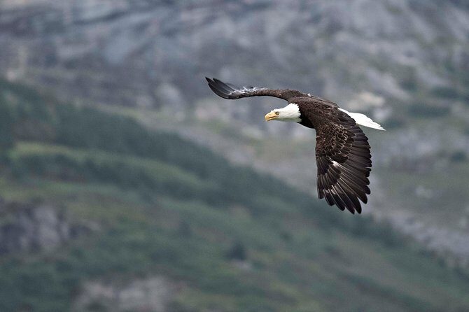 Exclusive Photography Tour Haines Departure - FAQ