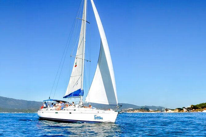 Exclusive Sailing Tour with Snorkeling in Puerto Vallarta - Dining and Drinks: Gourmet and Relaxed