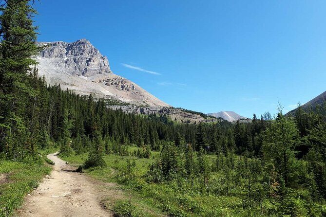 Exclusive Skoki Backcountry Guided Hiking in Lake Louise with Van Shuttle - What Youll Experience on the Trail