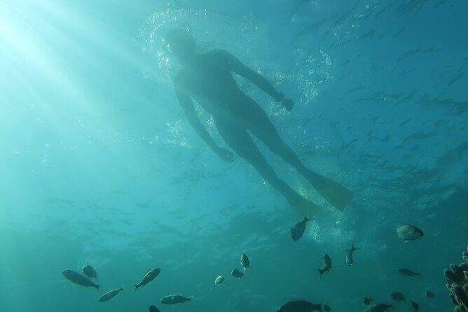 Exclusively Private Snorkel Adventures Training & Tours Ultimate - What Makes This Tour Special?