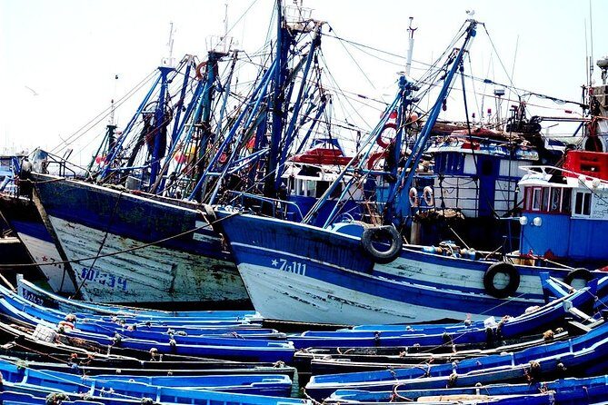 Excursion Essaouira from agadir 1 day - The Sum Up: Is This Tour Worth It?
