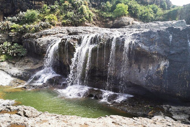 Excursion to Debre Libanos Monastery - Transportation and Group Dynamics