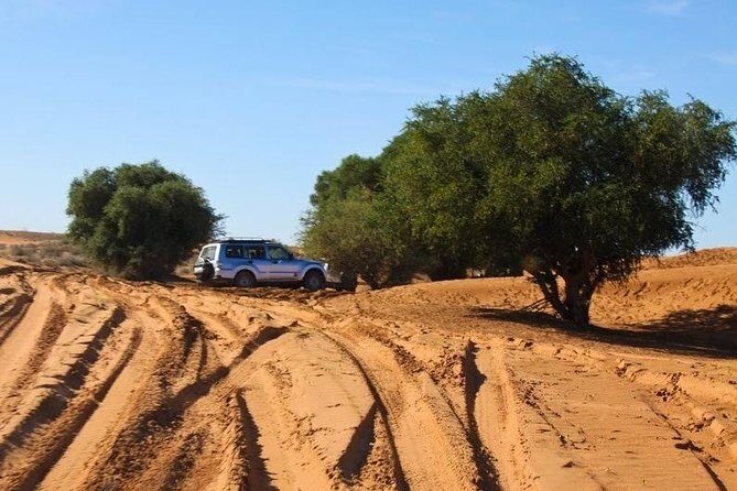 Excursion to the little Sahara, visit Tiznit, Tifnit, & Massa. - Final Thoughts: Is It Worth It?