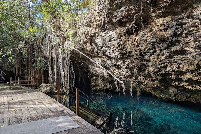 Exotik half a day tour: Cenote Cave and Swimming with Sea Turtles - The Sum Up: Is This Tour Worth Your Time?