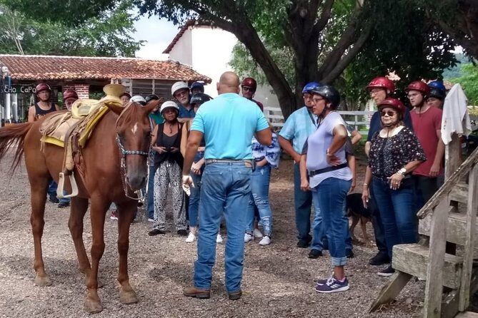 Experience ATV and Horse Back Riding - What Travelers Say