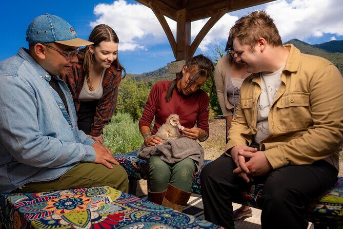 Experience Raptors and Falconry in Reno - Who Will Love This Tour?