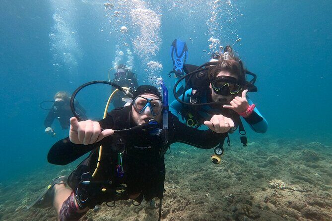 Experience Scuba Diving in Hawaii - Who Will Love This Tour?