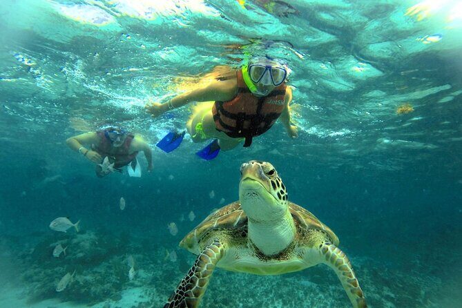 EXPERIENCE SWIMMING with the TURTLES and Discover the amazing Tulum Ruins tours. - Who Should Consider This Tour?