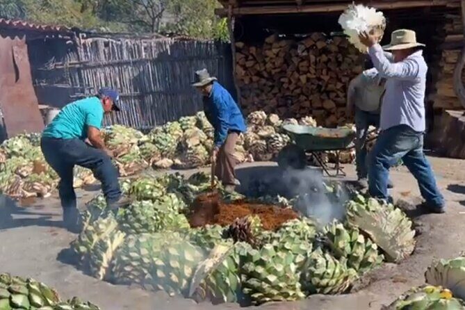 Experience the Mezcal Tour in Oaxaca - The Sum Up