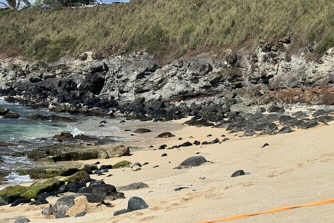 Experience the soul of Maui: Tours led by Maui's own! - What You Can Expect from the Itinerary