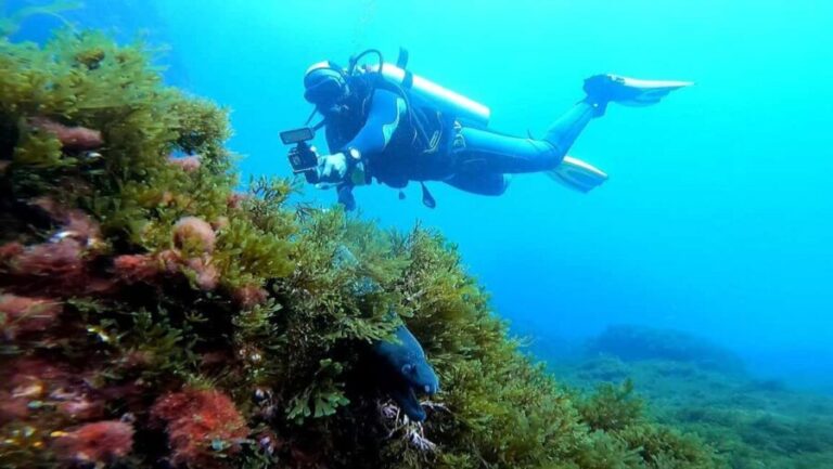 Experience the thrill of diving in Morocco Fun Dives - The Itinerary in Detail