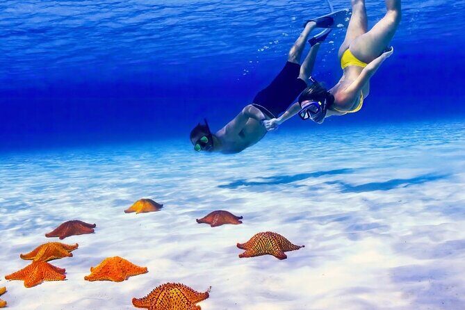 Exploration to El Cielo and Reefs: Live up close with stars - Whats Included and What to Expect