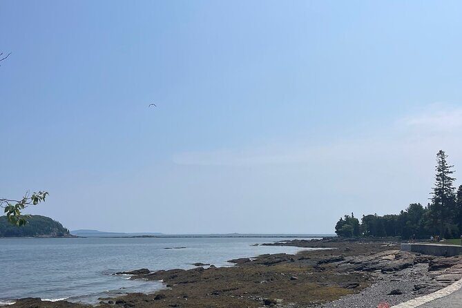 Explore Acadia with Ease Premium E-bike Rentals and Free Delivery - Introduction to the Experience