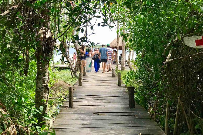 Explore Cenotes in Tulum Kaan Luum Lagoon from Cancun - A Full Breakdown of the Tour