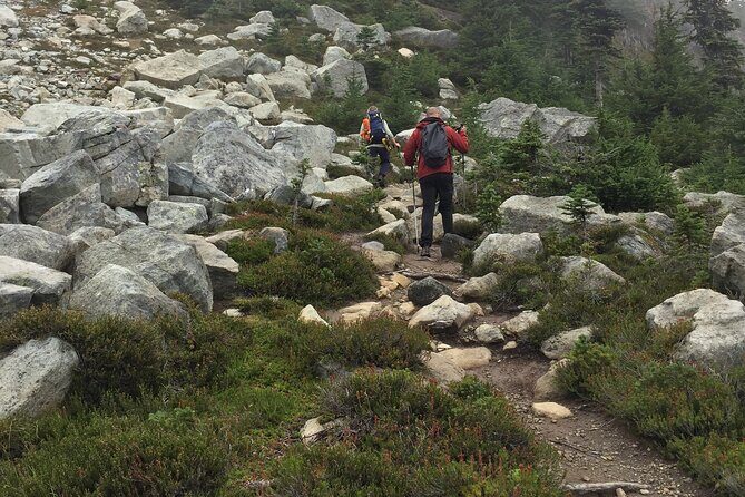 Explore Coastal Mountain Treasures: Scenic Hike from Squamish, BC - Why This Tour Offers Great Value