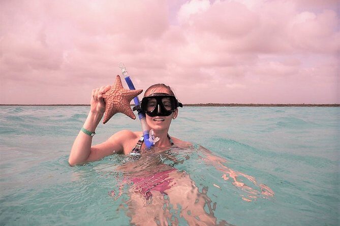 Explore El Cielo in Cozumel. Snorkel in 3 different reefs & visit Cielito Beach. - Snorkeling: What You’ll See and Experience