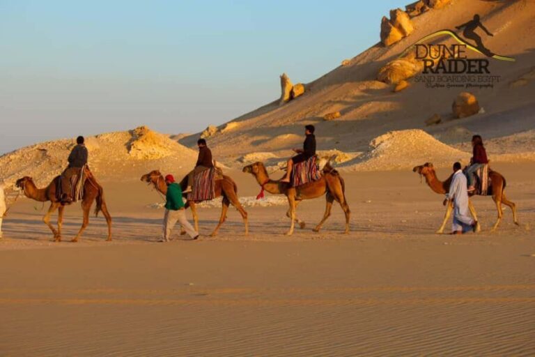 Explore Fayoum! - What’s Included and What to Keep in Mind