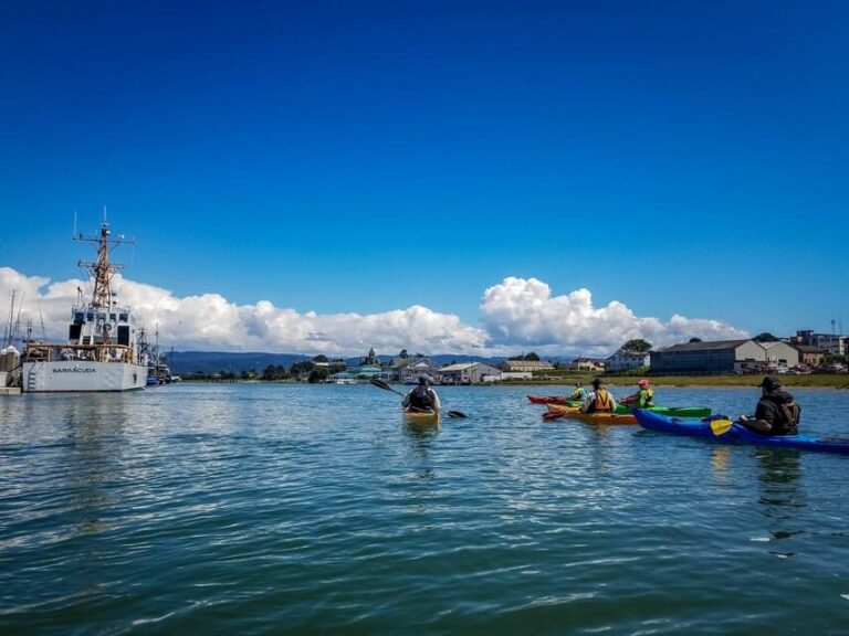 Explore Humboldt Bay by Kayak - Detailed Exploration of the Experience