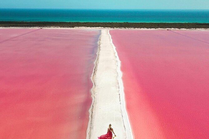 Explore Las Coloradas & Rio Lagartos from Riviera Maya - The Itinerary: What to Expect