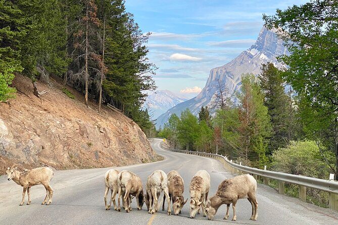 Explore Moraine Lake, Banff, Lake Louise & Minnewanka - The Sum Up: Who Will Love This Tour?