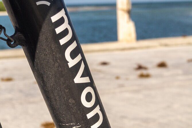 Explore Paradise on Wheels: Bike Rentals in Playa del Carmen - The Ride Experience and What to Expect