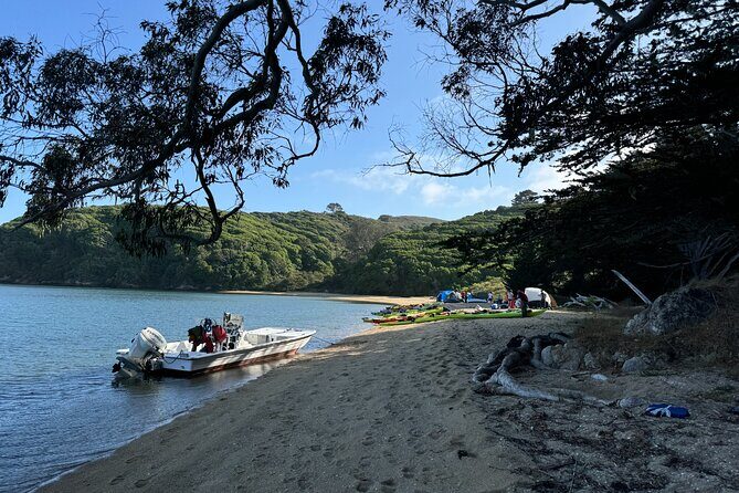 Explore Point Reyes by Sea Kayak - The Value and Who It’s Best For