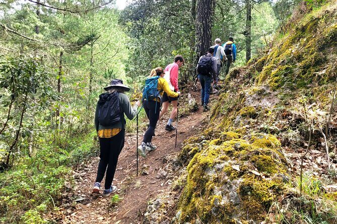 Explore Sierra Norte, Half-Day Hiking Adventure - What the Tour Includes and What You Should Consider