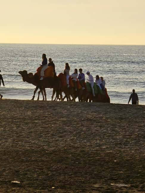 Explore Tangier: Cap Spartel, Cave, & Camel Ride Adventure - Who Will Love This Tour?