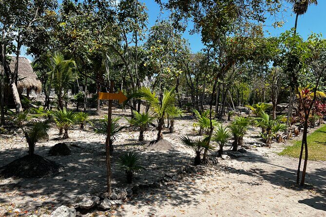 Explore the Ancient Wonders: Mayan Ruins 'El Meco' in Cancun - What to Expect: A Closer Look at El Meco