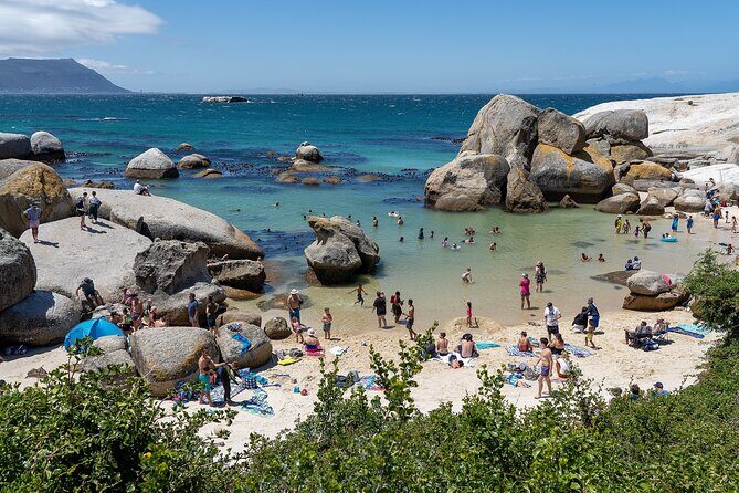 Explore the Cape Peninsula through a Queer Lens Private Tour - The Experience of the Stops: What Travelers Can Expect