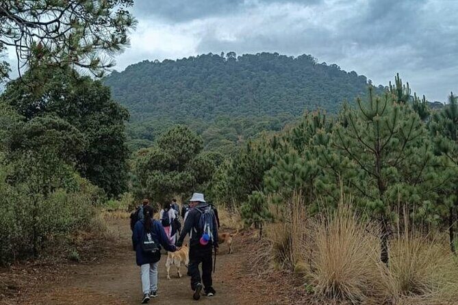 Explore the Caves of an Inactive Volcano on CDMX - Who Should Consider This Tour?