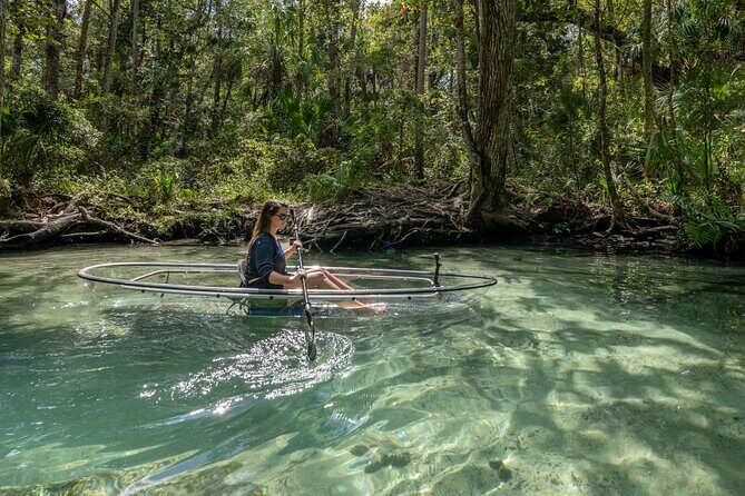 Explore The Chaz: Exclusive Clear Kayak Tours Near Crystal River - Authentic Experiences & Real Traveler Insights