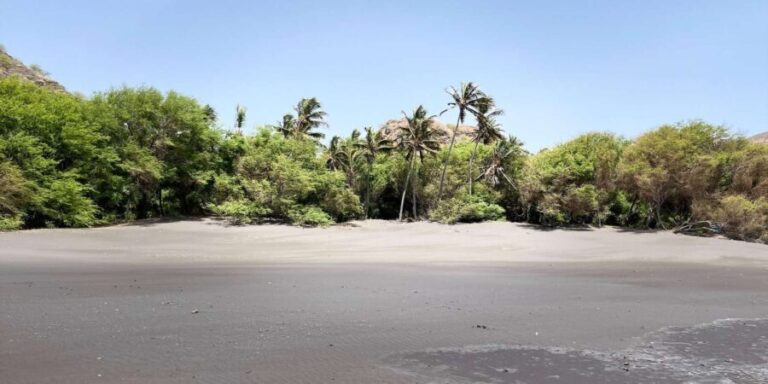 Explore the largest banana plantation in Cabo Verde - Visiting Pedra Badejo and Its Market