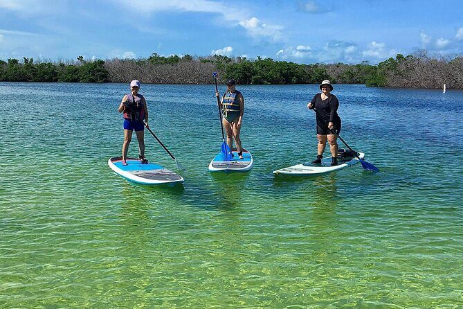 Explore the Mangrove Creeks with an ALL Day Tandem Kayak Rental - What Makes This Tour Stand Out?