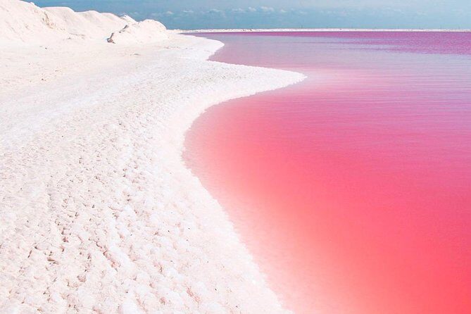 Explore the Nature: Las Coloradas & Rio Lagartos from Playa del Carmen - Las Coloradas: The Pink Lake and Salt Production