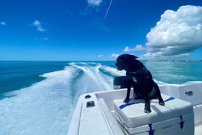 Explore the Waters of Key West - What’s Included and What’s Not