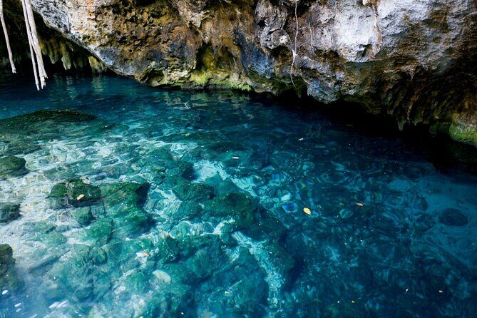 Explore Tulum and Dos Ojos Cenote with lunch and transportation - Transportation and Group Dynamics