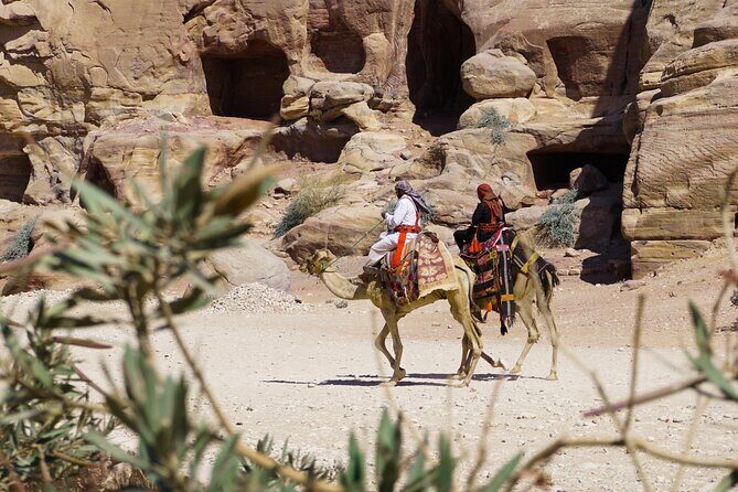 Explore Wadi Rum Desert with Camel Ride Experience with Stay - Why This Tour Offers Great Value
