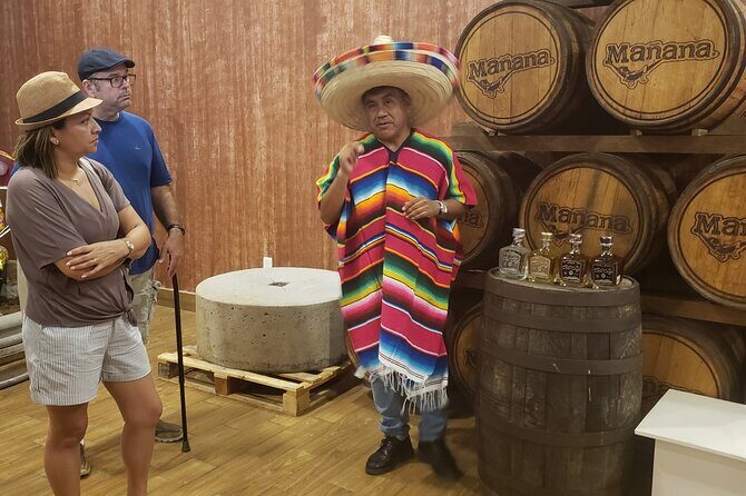 Extraordinary Cancun Van City Tour - Included Transportation - What Travelers Say