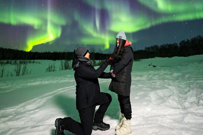 Fairbanks Aurora Borealis Night Tour - Why Use This Tour?