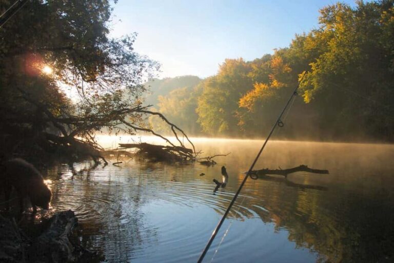 Fairbanks: Half-Day Fishing Trip with Hotel Pickup - What You Can Expect from This Fishing Trip