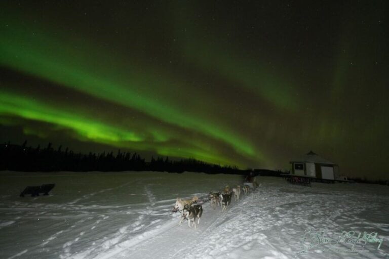 Fairbanks: Moonlight Dog Sled, Dinner & Northern Lights - The Itinerary—What to Expect
