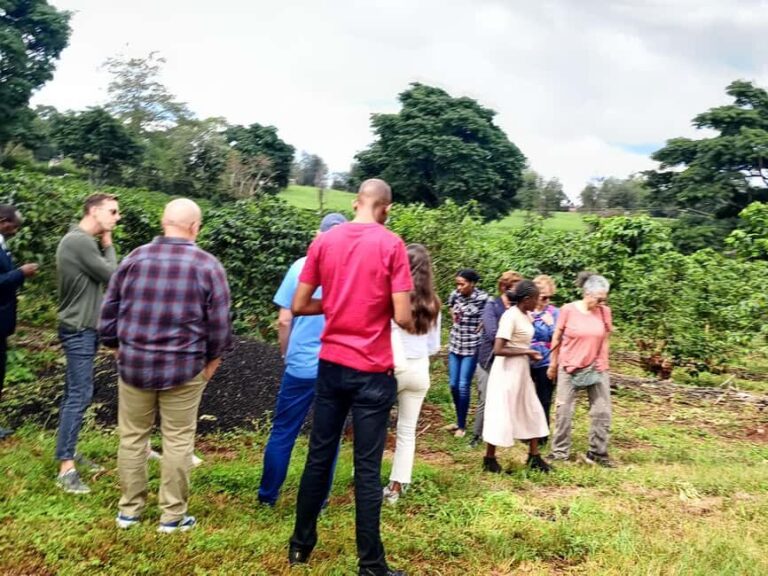 FAIRVIEW COFFEE FARM DAY TOUR - The Sum Up