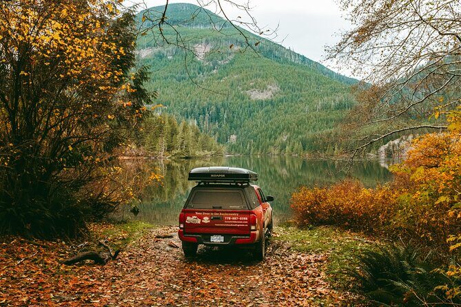 Fall Adventure Vancouver Island Grizzly Bears, High Tea and More - The Experience’s Value and Who It’s For