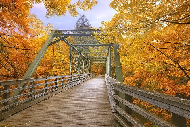 Fall Foliage Scenic Day Trip to Vermont and Western MA with Stops - Behind the Experience: A Detailed Look at the Tour