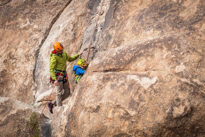 Family Rock Climbing Trips in Joshua Tree National Park (4 Hours) - What Makes This Tour Stand Out