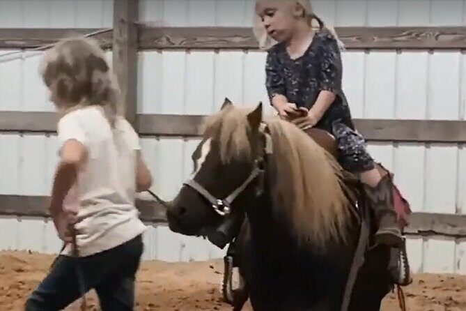 Farm Adventure Experience in Red Hill Ranch