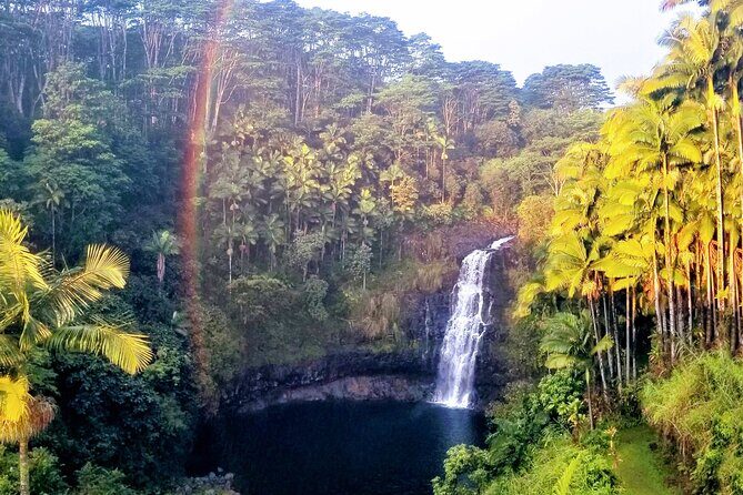 Farm to Table Cooking Class at Kulaniapia Falls - What to Expect from the Farm to Table Experience