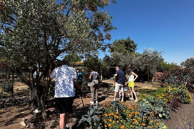 Farm to Table Cooking Experience in San Miguel - Details That Matter