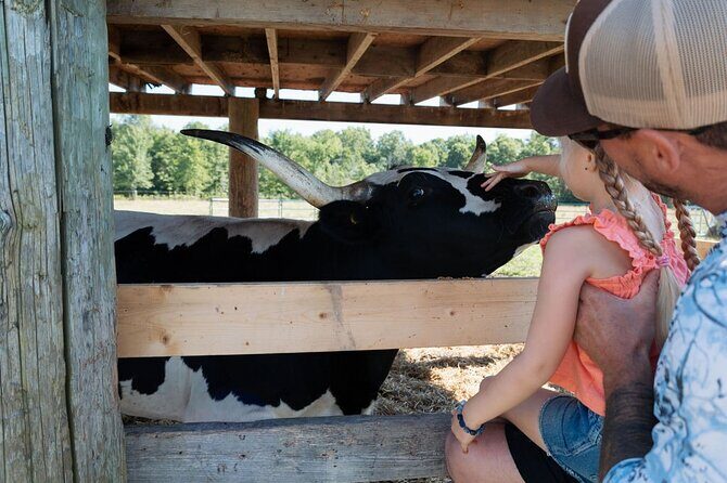 Farm Visit With Mini Domestic Animals - What’s Included and How It Works